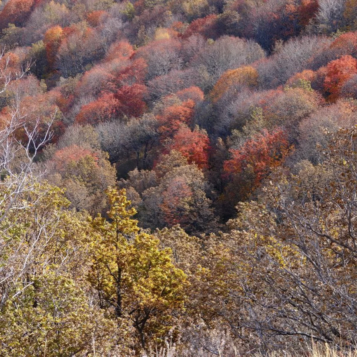 Mount Ara Hike