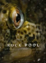 Rock Pool