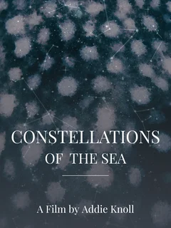Constellations of the Sea