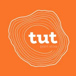 Plants | Bouquets | Flowers | Workshops | Drinks | Yerevan